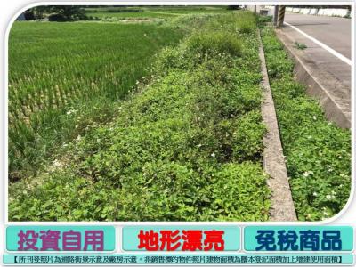觀音快速路旁便宜農地,桃園市觀音區農地出售