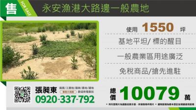 永安漁港大路邊一般農地,桃園市新屋區農地出售