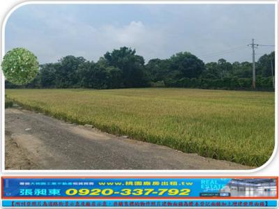 龍潭大坪數平坦農地,桃園市龍潭區農地出售